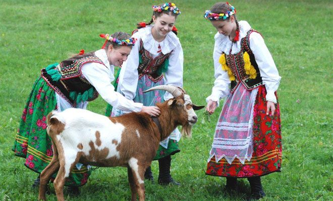 Stroje Ludowe - Strój Krakowski Zachodni