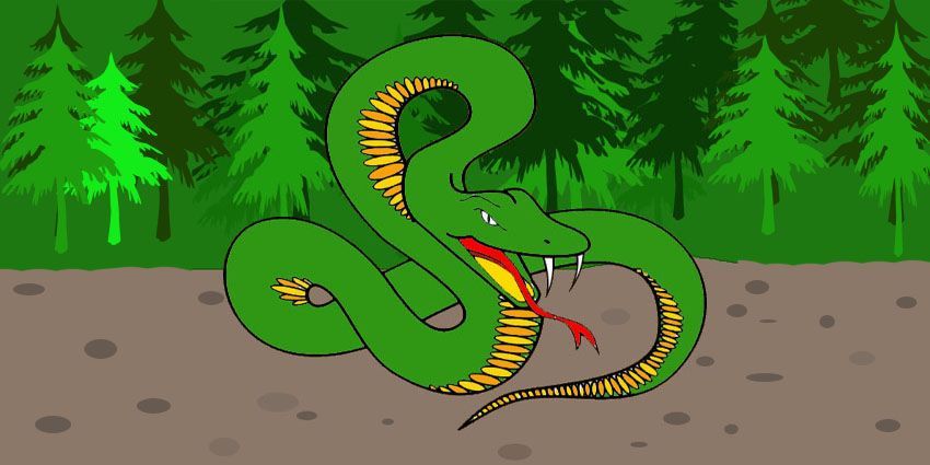 Złoczeń - król węży