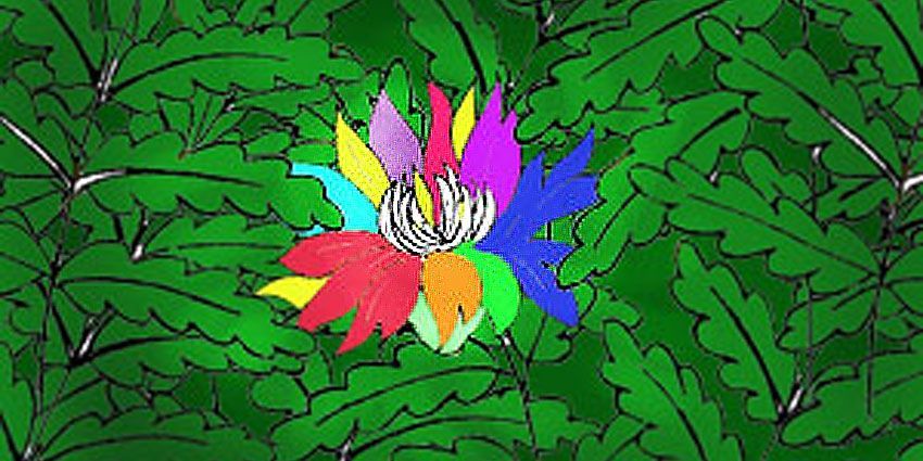 Kwiat Paproci